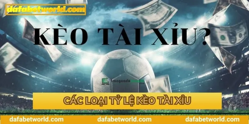 Các loại hình cược thú vị tại sân chơi