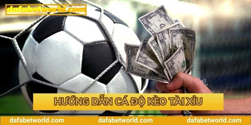 Từng bước tham gia cá độ hiệu quả nhất