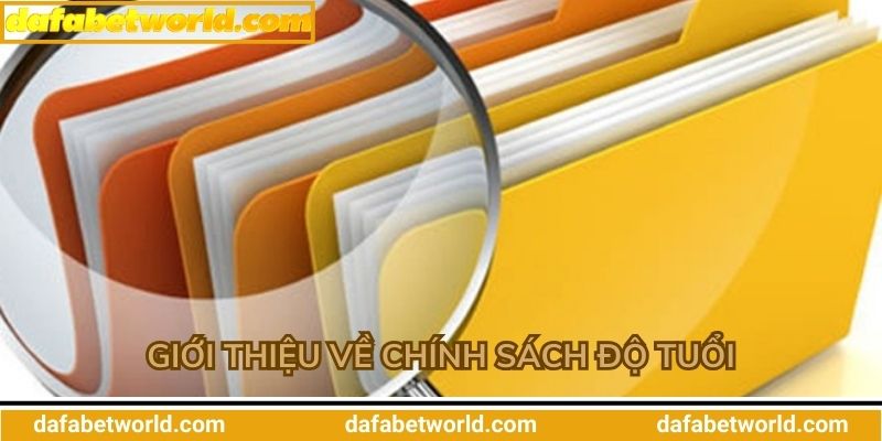 Giới thiệu về chính sách độ tuổi 