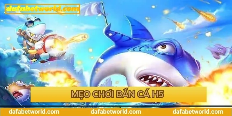 Mẹo săn bắn cá hiệu quả cho anh em