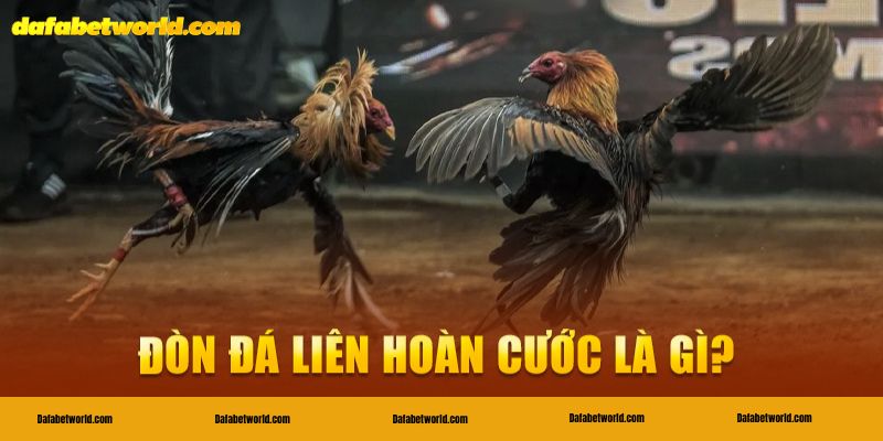 đòn đá liên hoàn cước