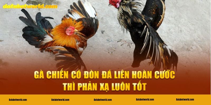 Đòn đá liên hoàn cước có gì thú vị?